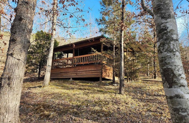 The Crowned Eagle Cabin