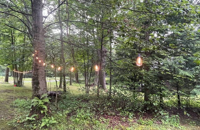 The Den: a cozy, rustic cabin off the beaten path near prime ATV trails