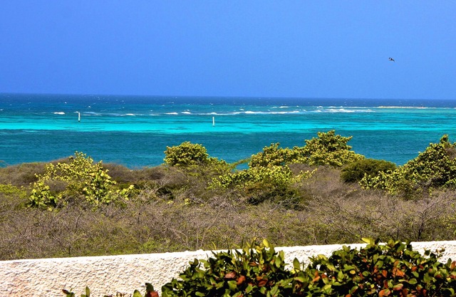Baby Beach Ferienhaus mit Blick auf das Karibische Meer !!