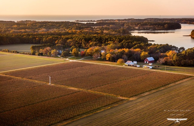 Das Weinberghaus in Chatham Farm