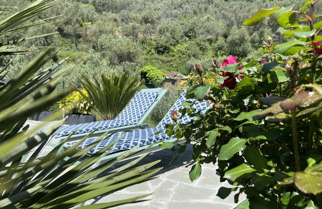 The Garden