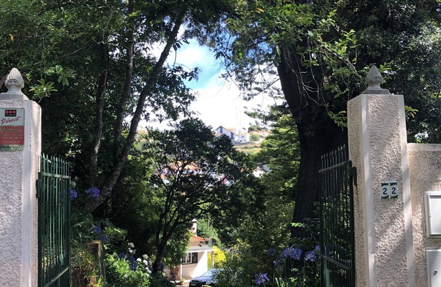 The Garden of Paradise