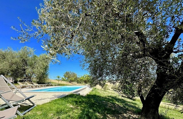 Historisches Bauernhaus mit Swimmingpool, Grill, Fitnessraum, Olivenhain in Senigallia - il Girasole