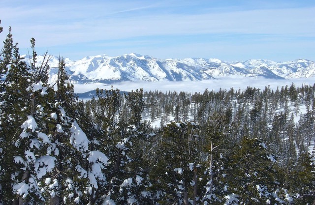 Der Grand Residence Club @ Heavenly Gondola
