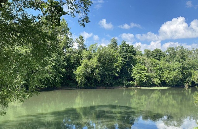 The Greenbrier River View!
