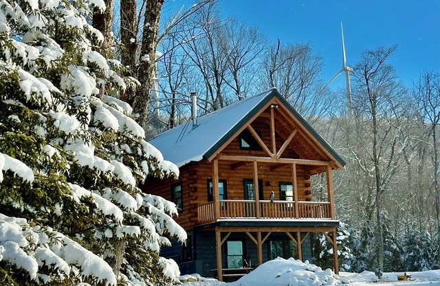 The Greylock Cabin - True Cabin in the woods on 30 acres. Pet-Friendly