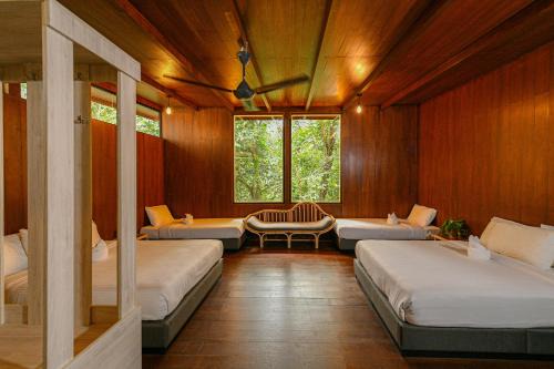 The HIJAU Camp & Cabin