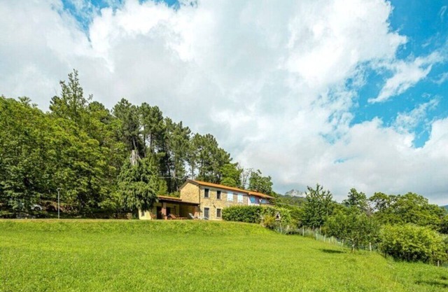 the house in the woods! suitable for families