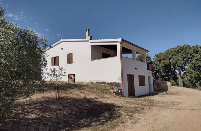 The house of olive trees