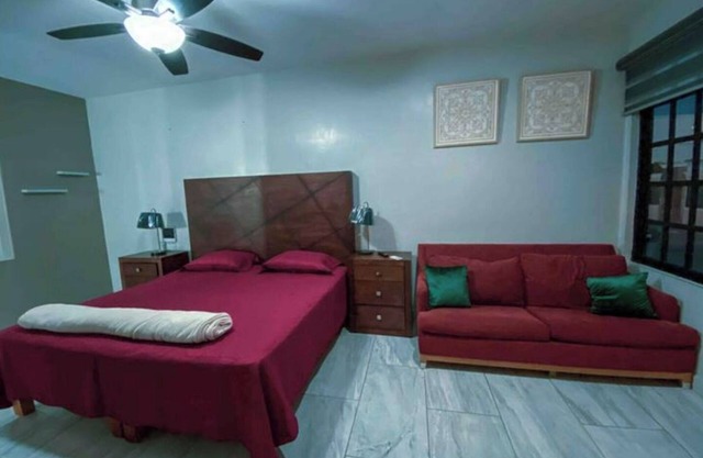 The King's Comfort Flowers