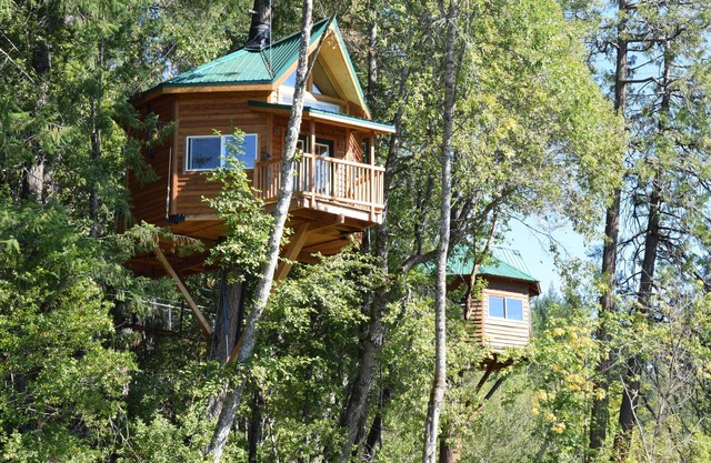 The Kush Kabin! Deluxe treehouse on legal cannabis farm.