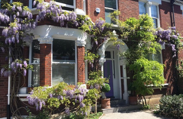 The Lilac Door