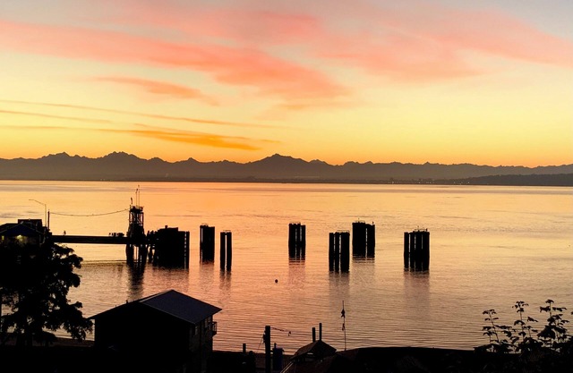 The Little Blue Whale Watcher on Whidbey Island