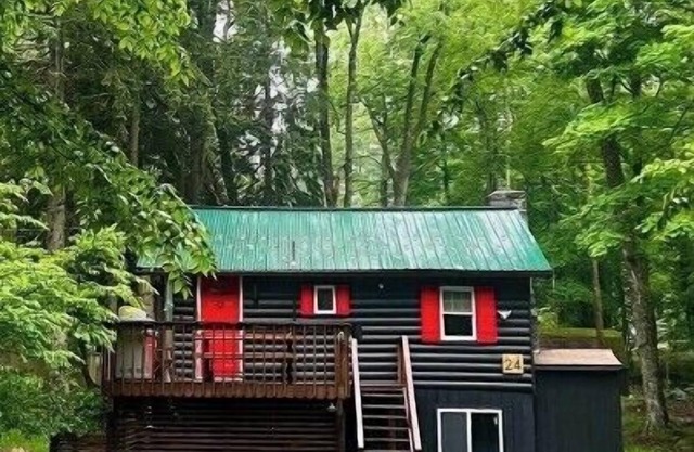 The little cabin that could…