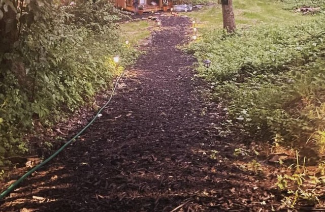 The little cottage In the woods