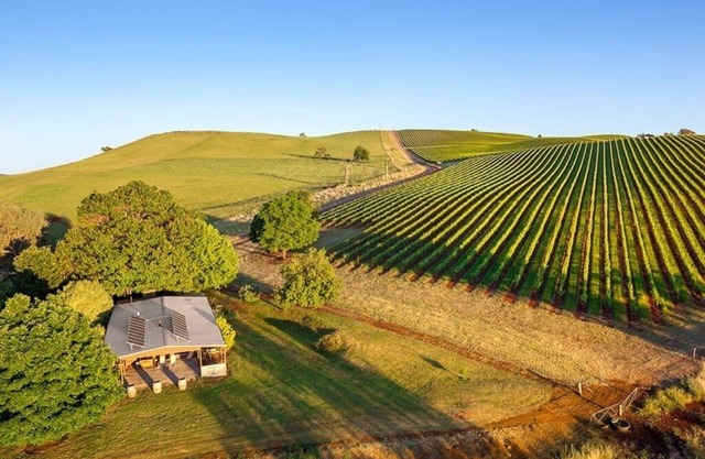 Beste Aussichten im King Valley