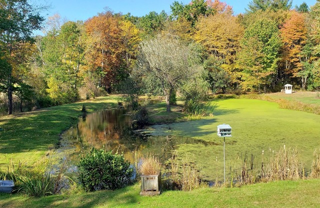 The Loft at 'Blue Heron Watch' Nature Getaway