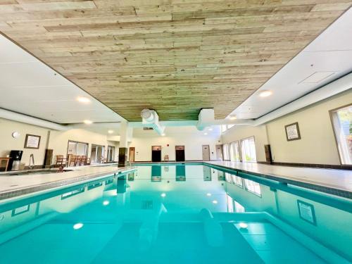The Low Tide Suite
