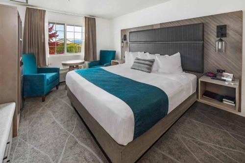 The Marina Inn