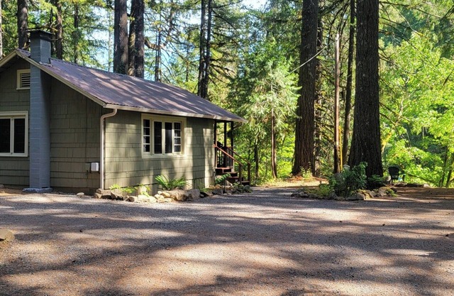 The Mckenzie River Nest, a cozy cabin on the river!