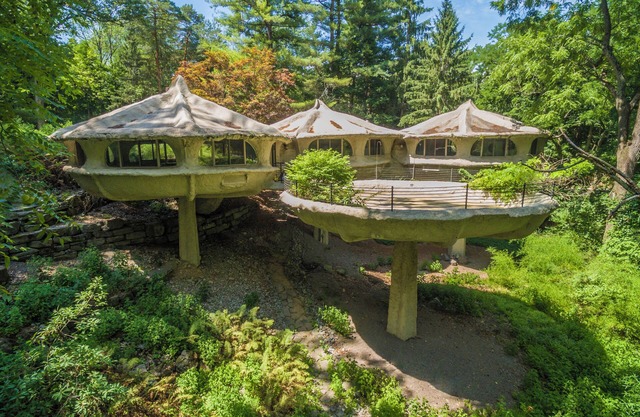 The Mushroom House