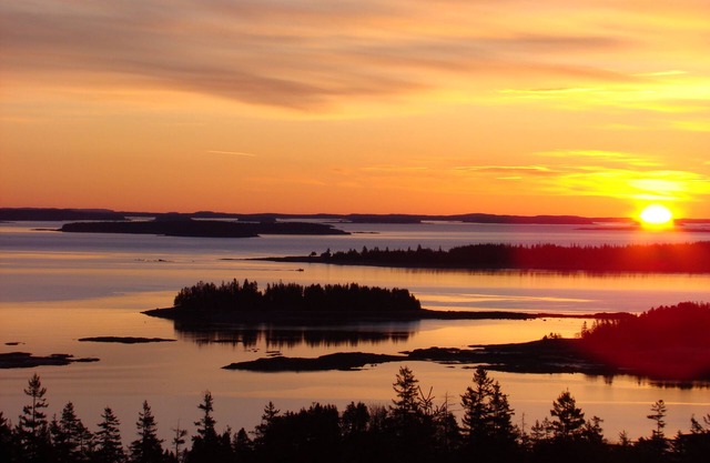 Die natürliche Schönheit von Downeast, ME umgibt Pyne Cove Cottage und heißt Sie herzlich willkommen!
