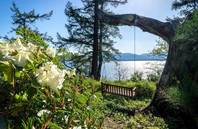 The Nest Oceanfront Retreat on Salt Spring Island