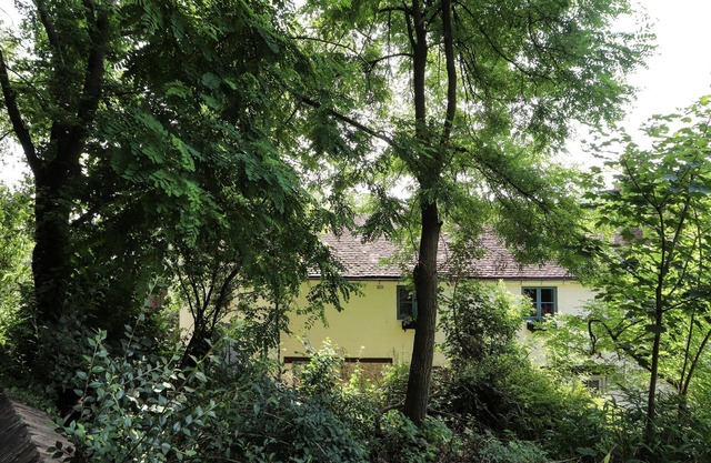 The Olde Drill House