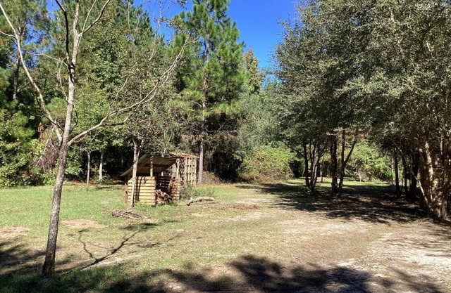THE ORCHARD disperse primitive site
