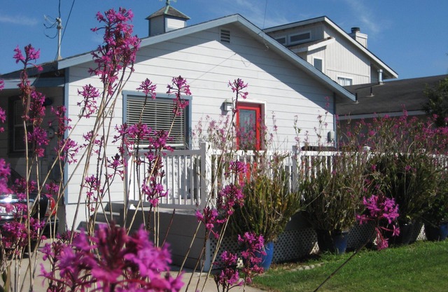 "THE ORCHID COTTAGE" HAUSTIERE OK!