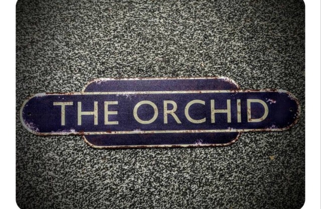 The Orchid