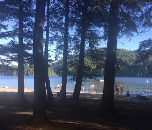 The Owls Nest at Westwood Lake