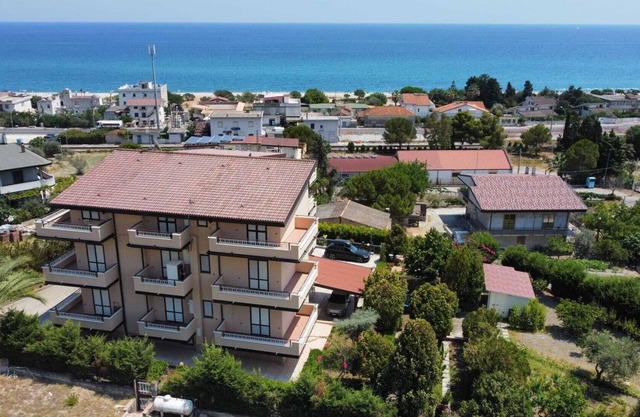 The Palms of Riace 1