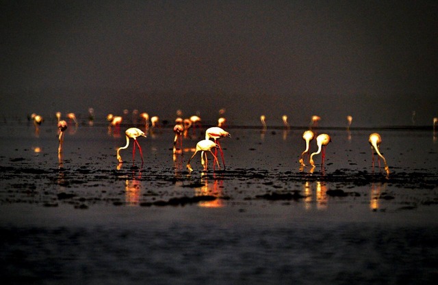 Die Papaya Ecolodge am Meer bei Cap Skirring in Casamance im Senegal