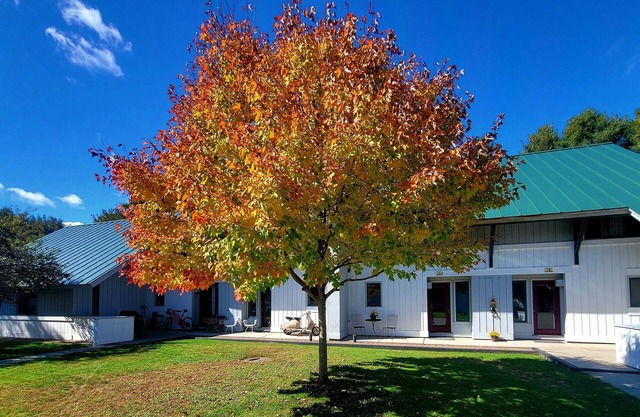 The perfect adult couples retreat. 2-king bedroom right along the Mountain Road.