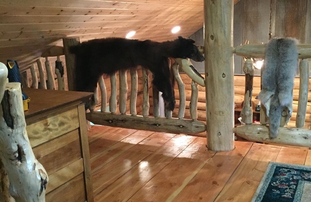 Die perfekte "Get Away" schön gestaltete Blockhaus auf privaten Reservoir