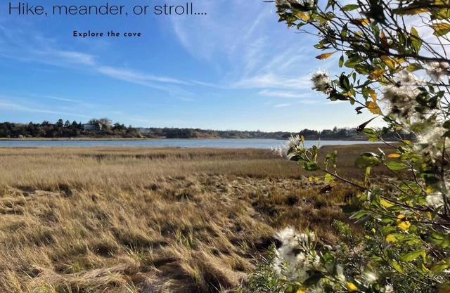 The Pet-Friendly Surf Shack Hideaway on the Cove