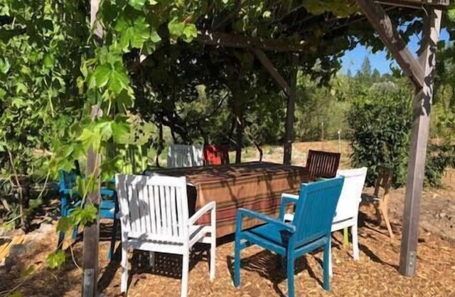 Artist cabin close to South Yuba River