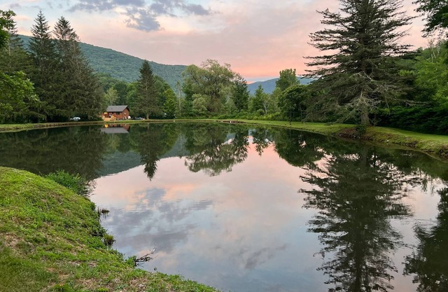 The Pond House ~ 5 Min to Belleayre ~ Outdoor Fun