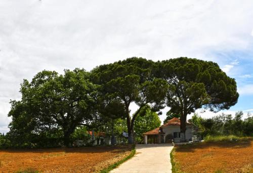 The Ranch of Ancient Ilida