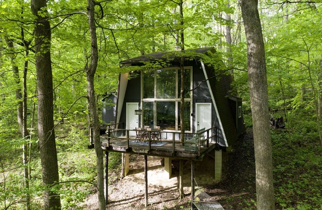 Das Schilf - Eine gemütliche Hütte im Wald