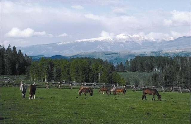 Das Ritz auf der Trail Creek Ranch