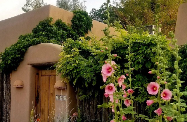 Die Rose Casita. Zeitgenössisch, wunderschön, ruhig, perfekt. Das Beste aus Santa Fe.