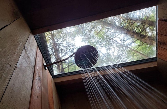 The Sapling Cabin by Evergreen Forest Cabins