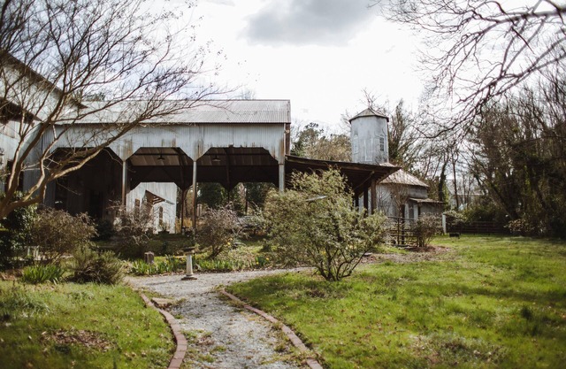 The Seed House: Renovated Octagonal Barn, Dog-friendly!