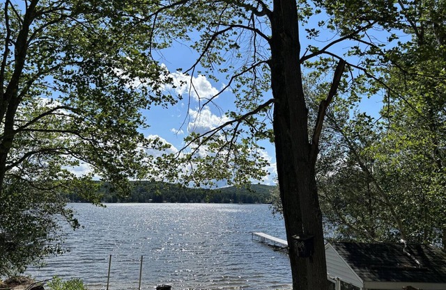 The Silver Lake Oasis