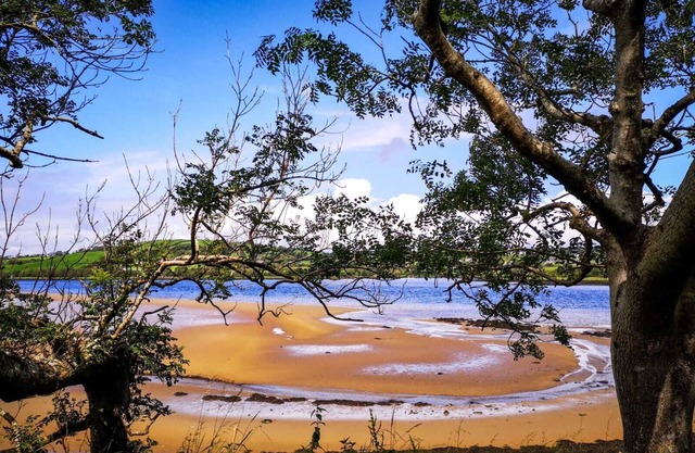 The Snuggly Sheep Shepherd Hut Campview Farm Stay