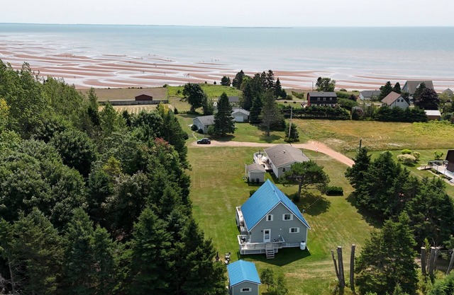The South Shore Hammocks