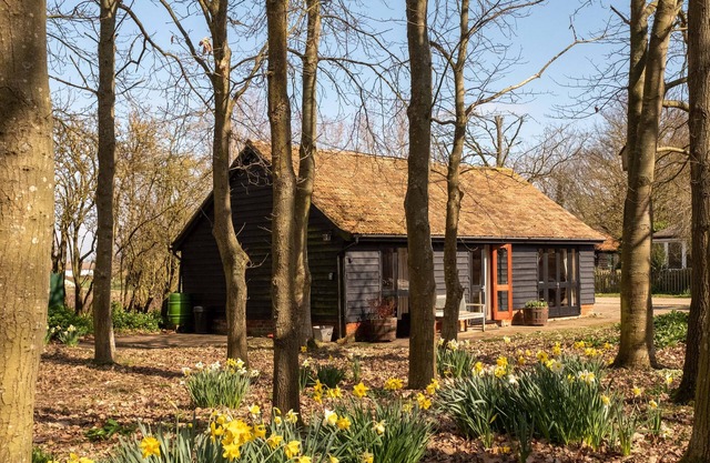 The Stables, Theberton - sleeps 2 guests in 1 bedroom