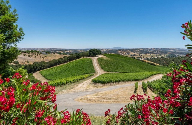 The Story Home | Copia Vineyards